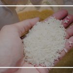 تشخیص برنج کهنه