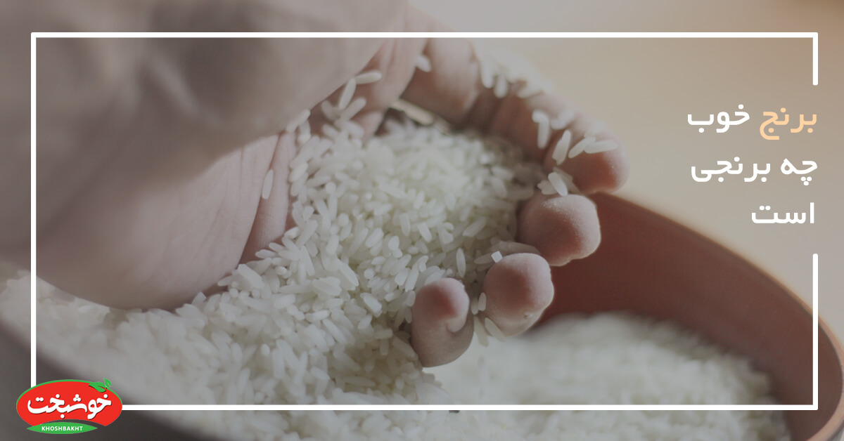 برنج خوب چه برنجی است